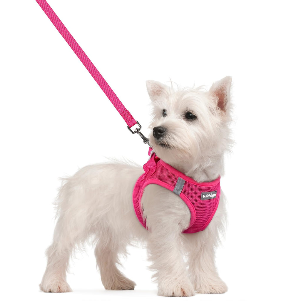 rabbitgoo Dog Harness Small Sized and Leash Set, Step-in Puppy Pet Vest