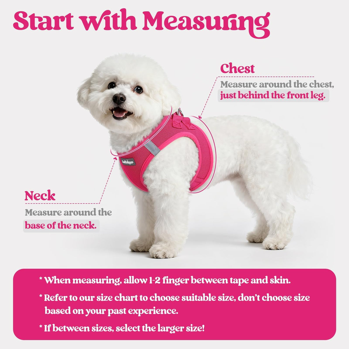 rabbitgoo Dog Harness Small Sized and Leash Set, Step-in Puppy Pet Vest