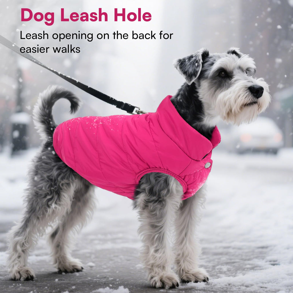 ASENKU Dog Winter Coat Dog Fleece Puffer Jacket for Small Medium Large Dogs