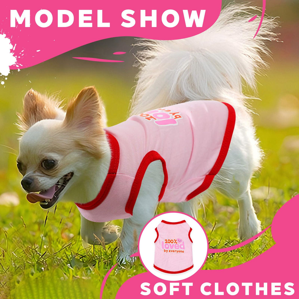 4 Pieces Chihuahua Clothes Cute Dog Clothes for Small Dogs Girl Puppy Shirt