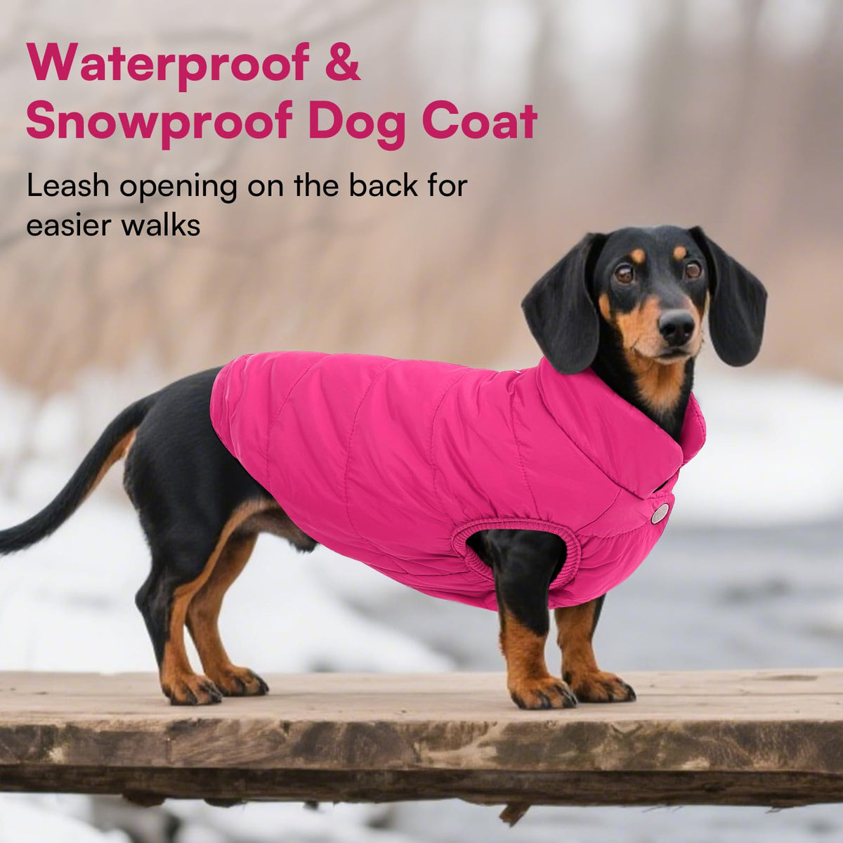 ASENKU Dog Winter Coat Dog Fleece Puffer Jacket for Small Medium Large Dogs