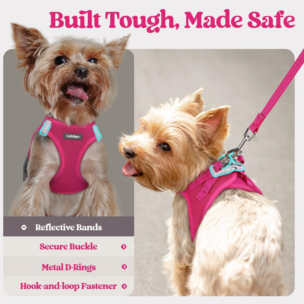 rabbitgoo Dog Harness Small Sized and Leash Set, Step-in Puppy Pet Vest