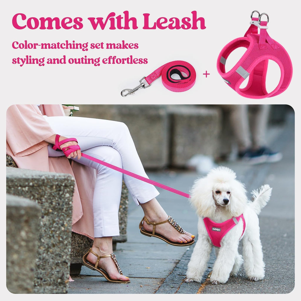 rabbitgoo Dog Harness Small Sized and Leash Set, Step-in Puppy Pet Vest