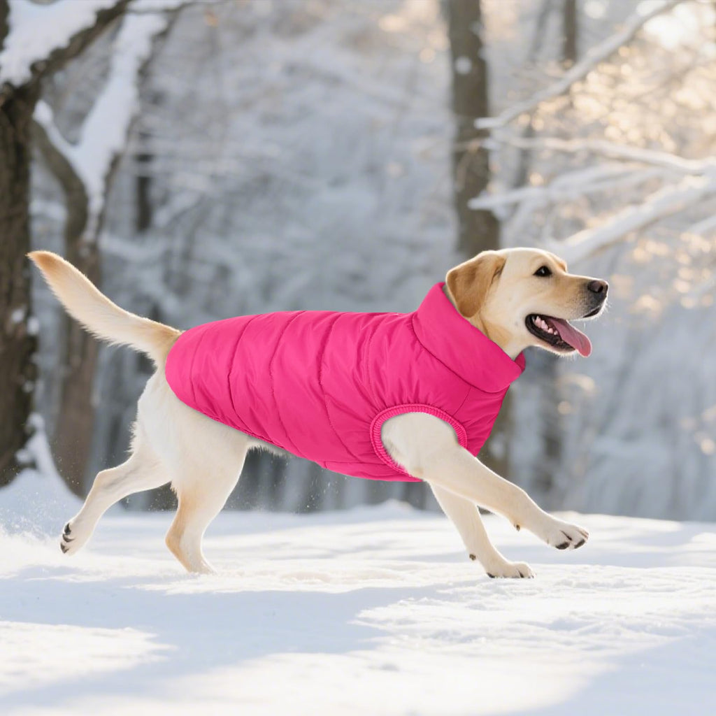 ASENKU Dog Winter Coat Dog Fleece Puffer Jacket for Small Medium Large Dogs