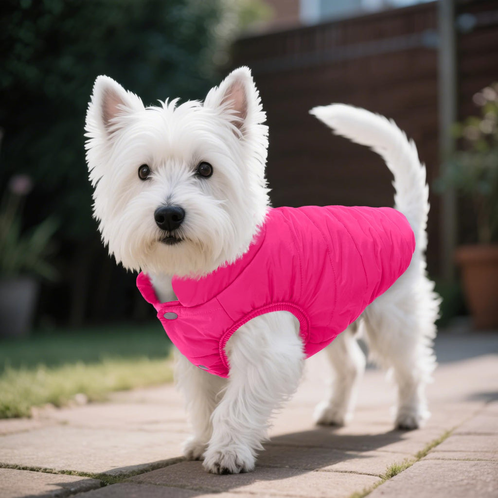 ASENKU Dog Winter Coat Dog Fleece Puffer Jacket for Small Medium Large Dogs