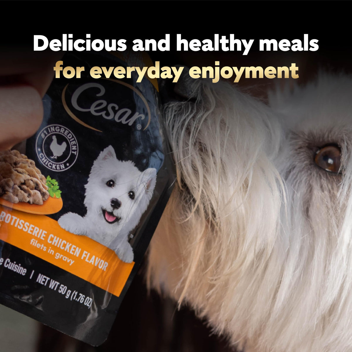 Cesar Mini-Pouch Wet Dog Food, Filet Variety Pack, 1.76 oz, 40 Count
