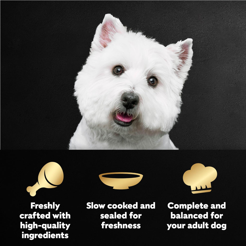 Cesar Mini-Pouch Wet Dog Food, Filet Variety Pack, 1.76 oz, 40 Count