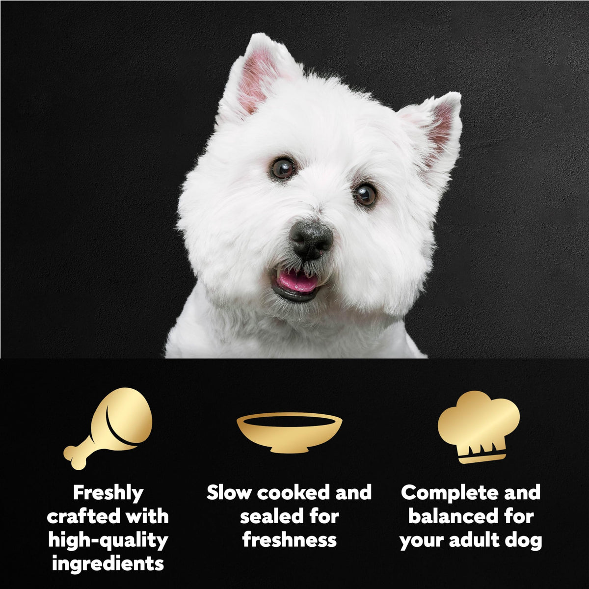 Cesar Mini-Pouch Wet Dog Food, Filet Variety Pack, 1.76 oz, 40 Count