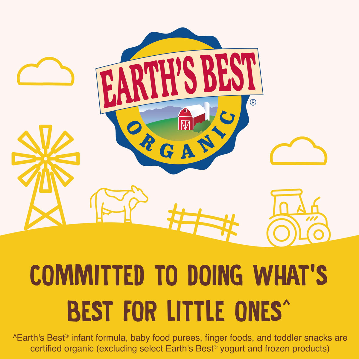 Earth's Best Organic Baby Food, Dissolvable Teething Snack for Babies 6 Months and Older, Strawberry Banana Crunchy Sticks, .56 oz Pack (Pack of 5)